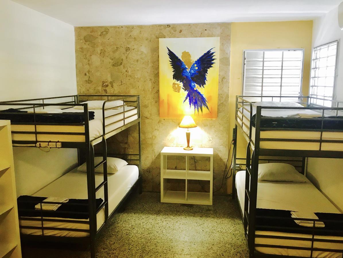 Mango Mansion - International Hostal *